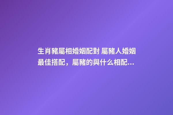 生肖豬屬相婚姻配對 屬豬人婚姻最佳搭配，屬豬的與什么相配最好-第1張-觀點-玄機派